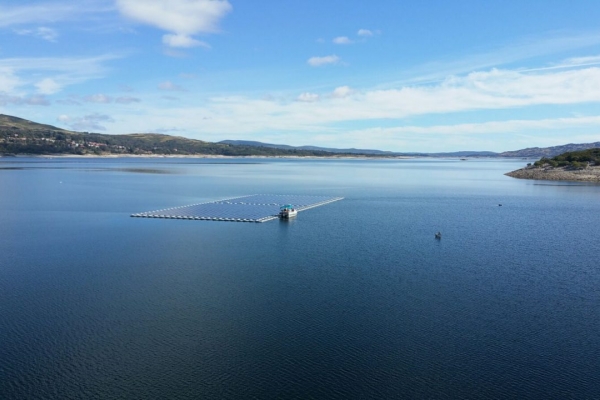 Pływająca farma fotowoltaiczna powstała w Portugalii